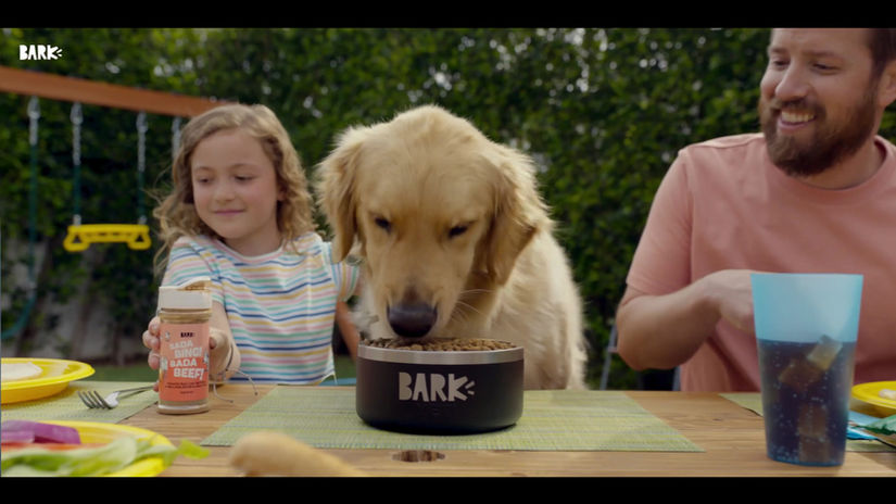 BARKBOX  "Box Together"